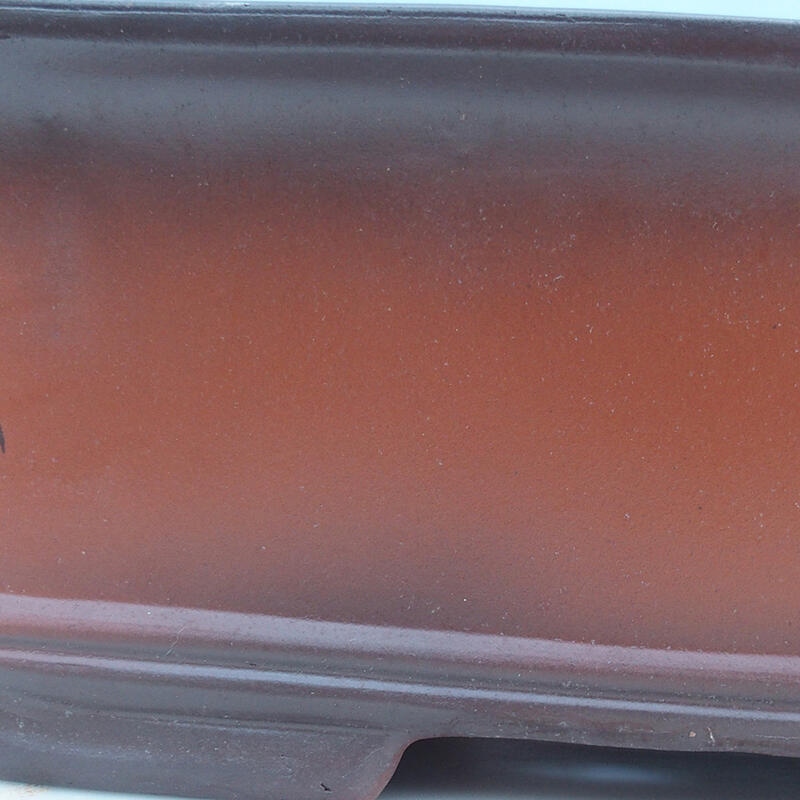 Bonsaischale 51,5 x 37,5 x 16 cm, Ziegelfarbe – nur Palettentransport
