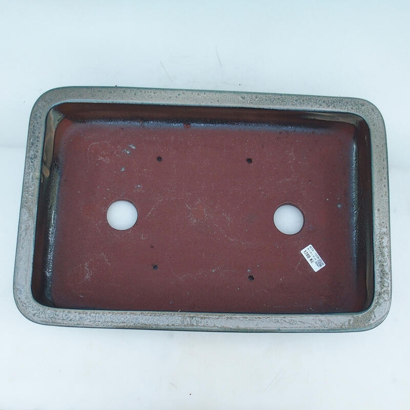 Bonsaischale 51 x 34 x 10,5 cm, Farbe beige-grün - Nur Palettentransport