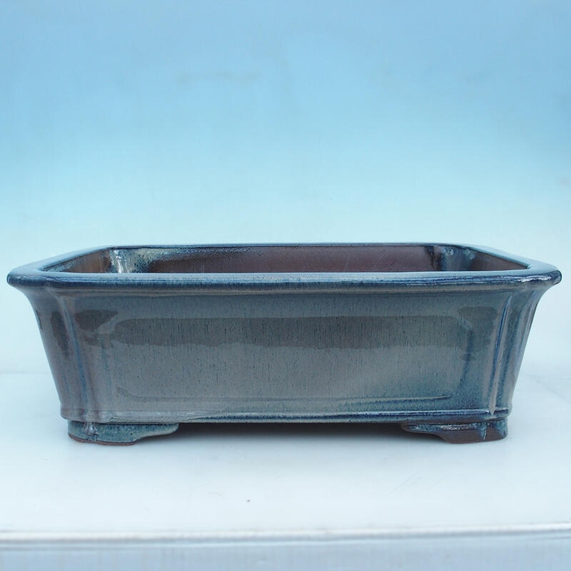 Bonsaischale 51 x 35,5 x 16 cm, Farbe blau-beige - Nur Palettentransport