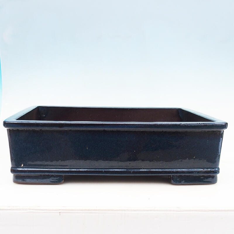 Bonsaischale 52 x 41 x 15 cm, Farbe Blau - Nur Palettentransport