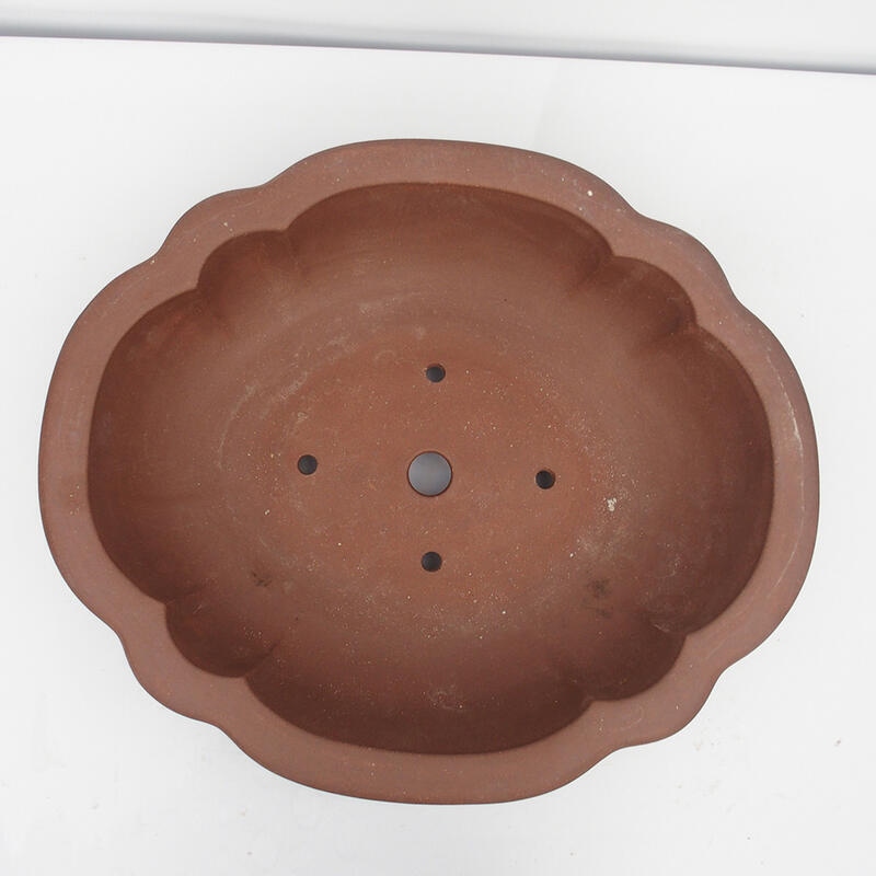 Bonsaischale 55 x 47 x 14 cm - Japanische Qualität
