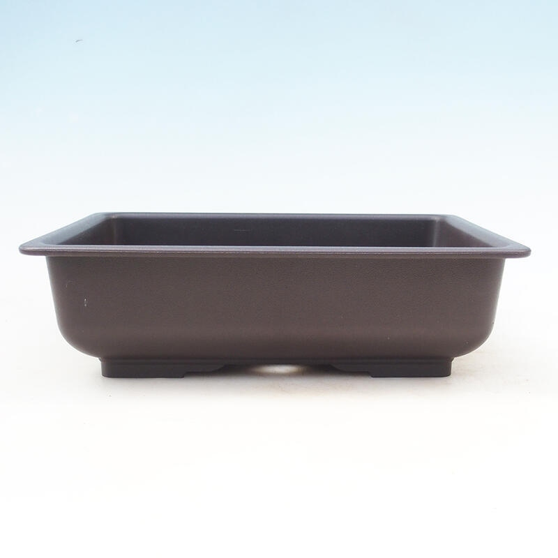 Bonsai Plastikschüssel MP-5
