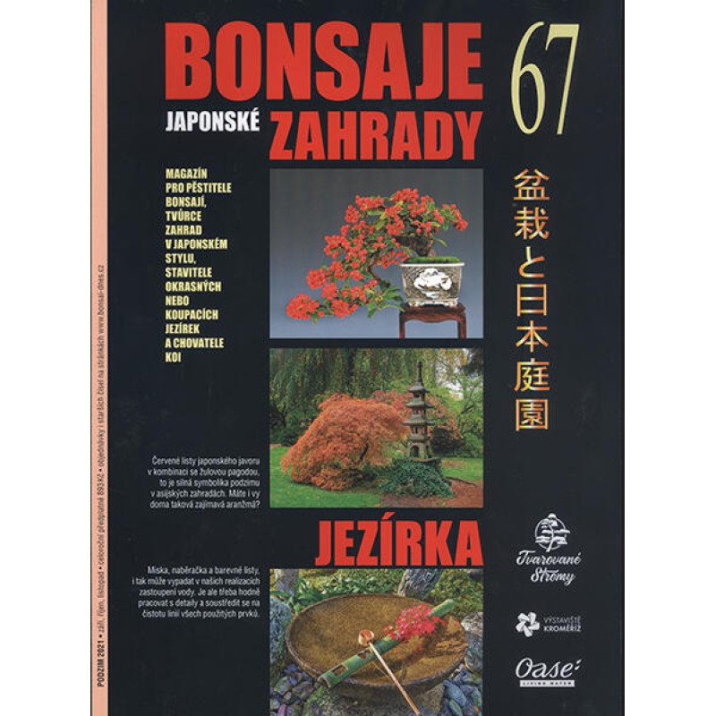 Bonsai und Japanische Gärten Nr.67