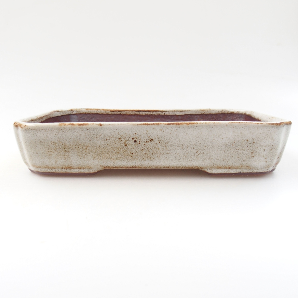 Keramik-Bonsaischale 18 x 13 x 3,5 cm, Farbe Weiß