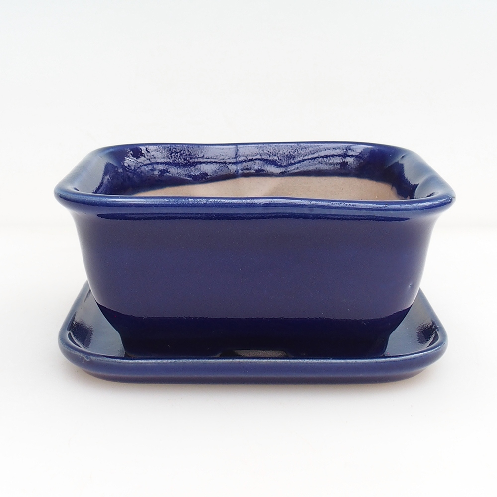 Bonsaischale + Untertasse H38 - 12 x 10,5 x 5 cm - blau