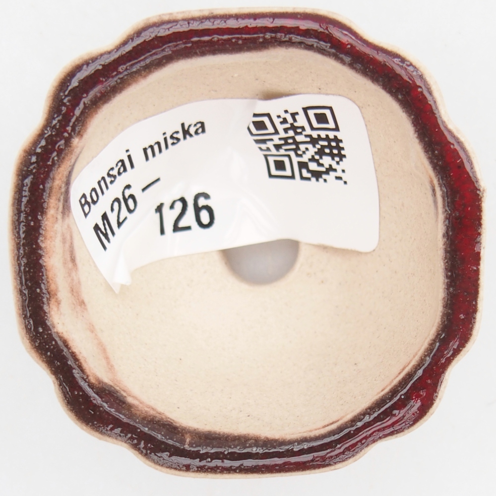 Mini-Bonsaischale 4,5 x 4,5 x 2,5 cm, Farbe rot