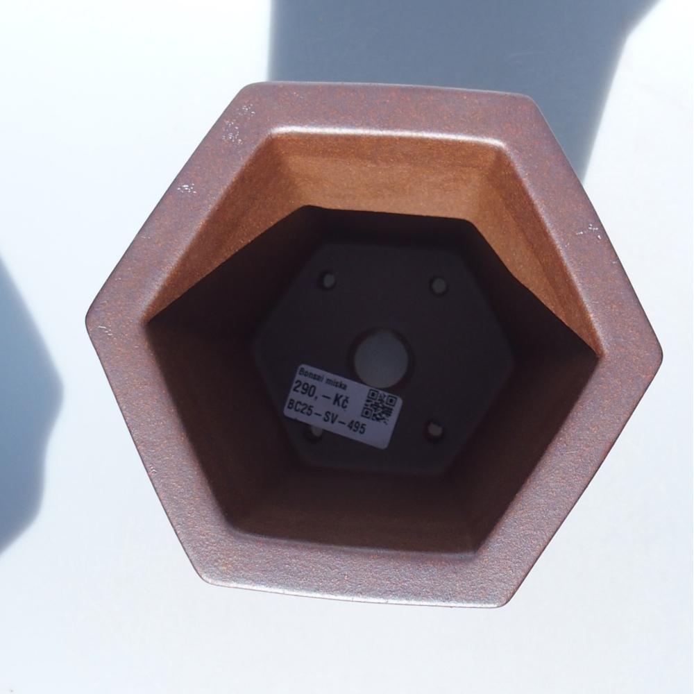 Schale 15,5 x 14 x 14,5 cm braun