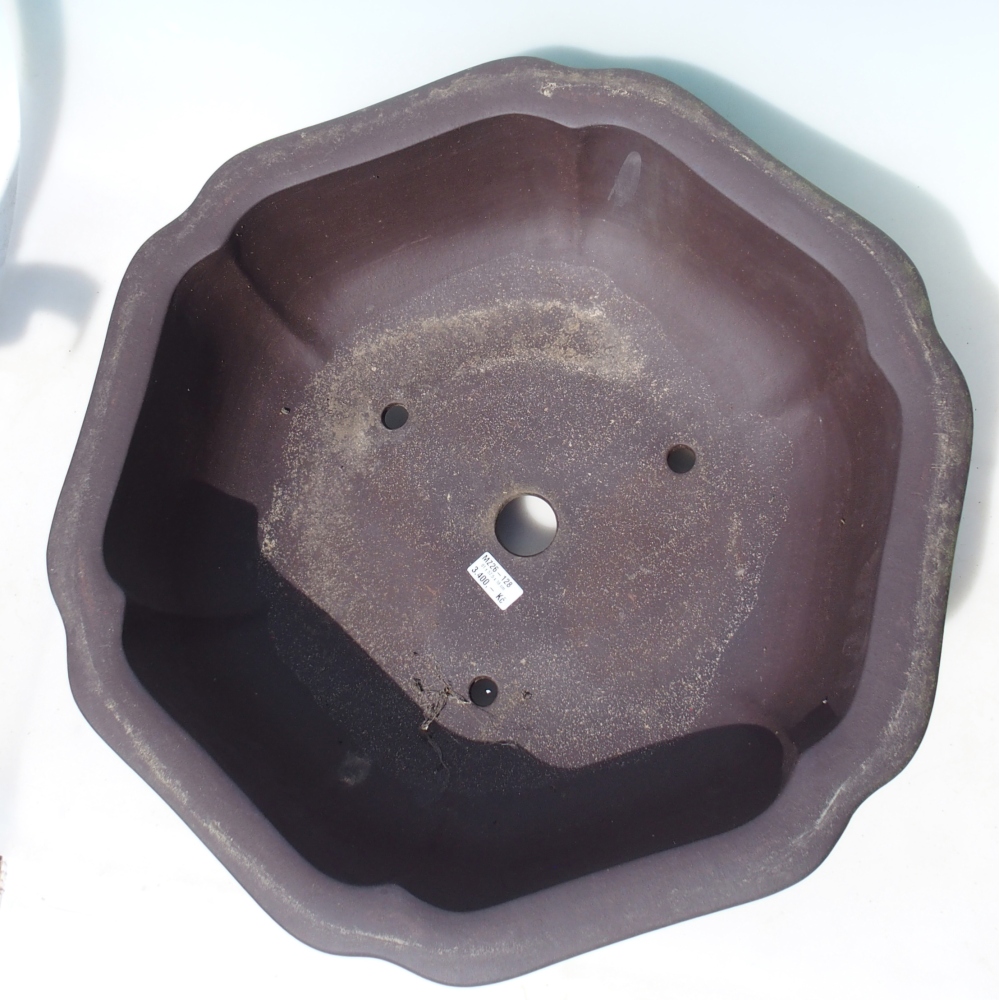 Bonsaischale 61 x 57,5 x 18 cm - braun