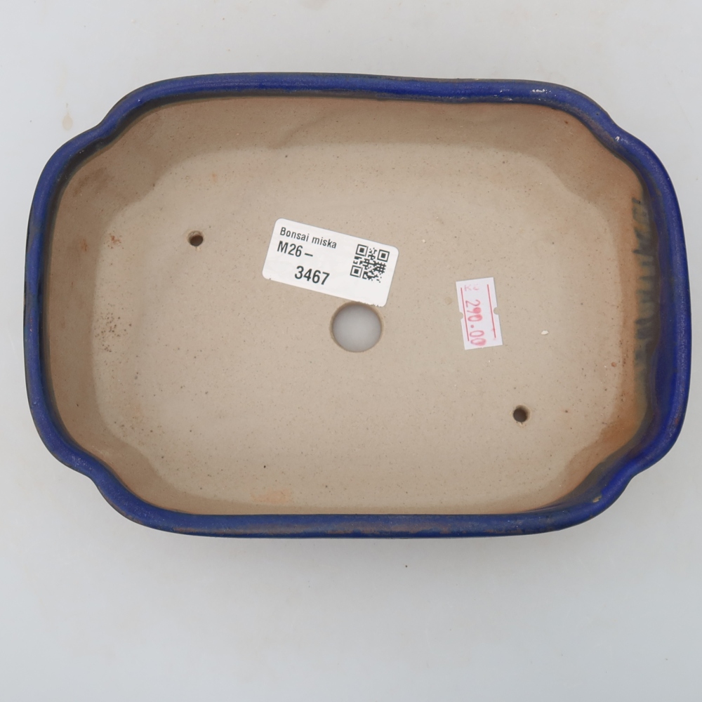 Keramik-Bonsai-Schale 18,5 x 13 x 5 cm, Farbe: Blau