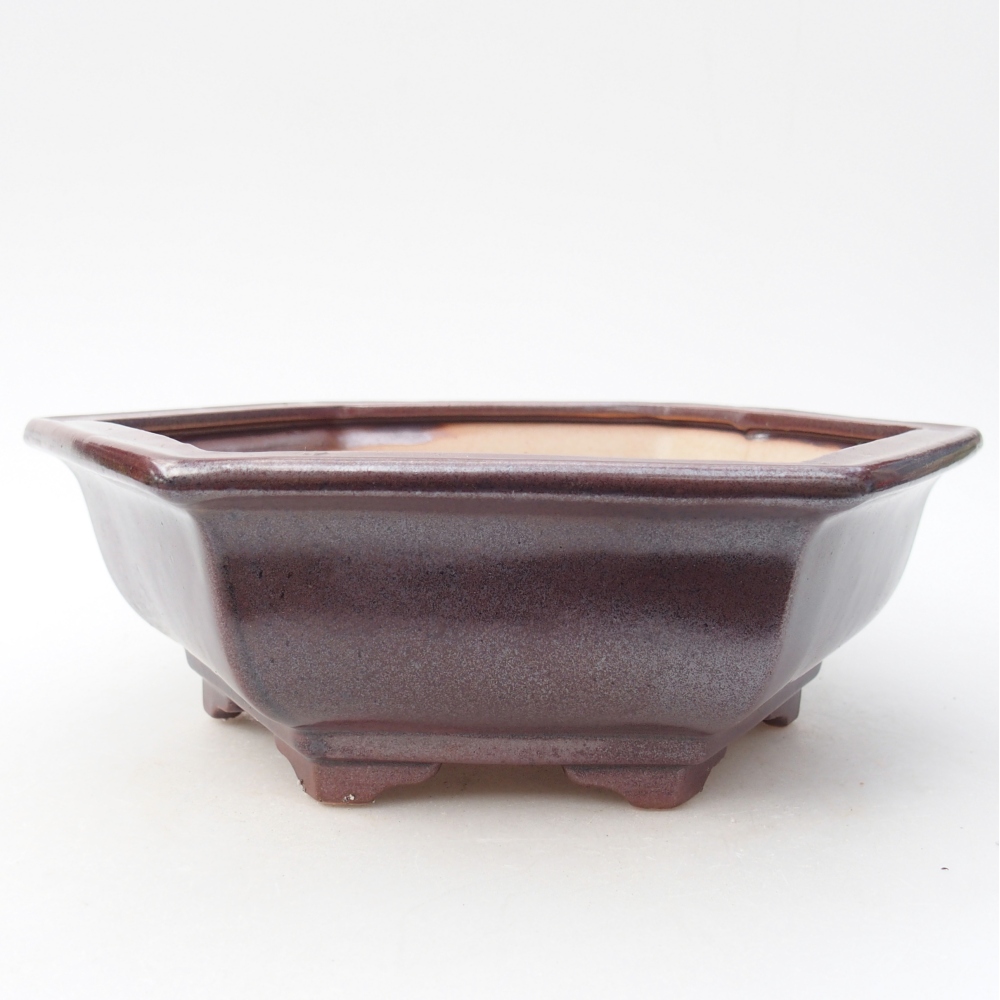 Bonsaischale aus Keramik 24 x 21 x 7,5 cm, Farbe burgunderrot