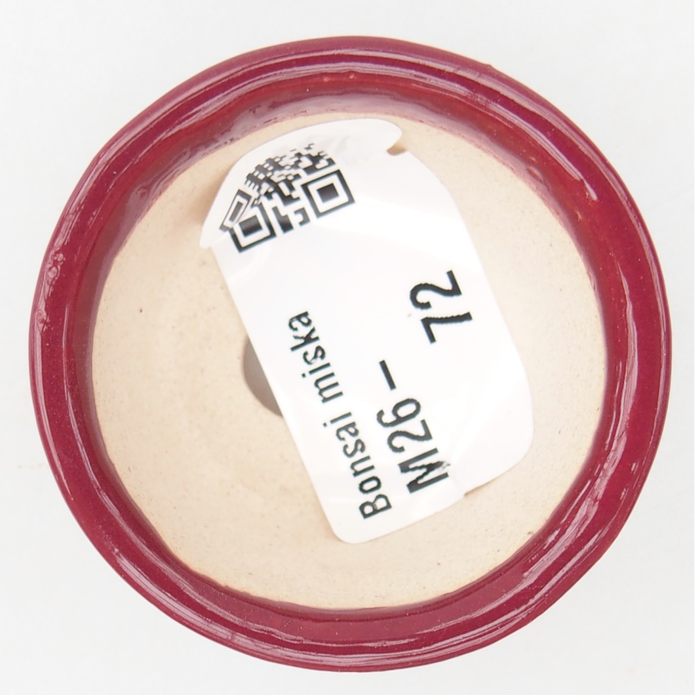 Mini-Bonsaischale 4,5 x 4,5 x 2,5 cm, bordeauxrot