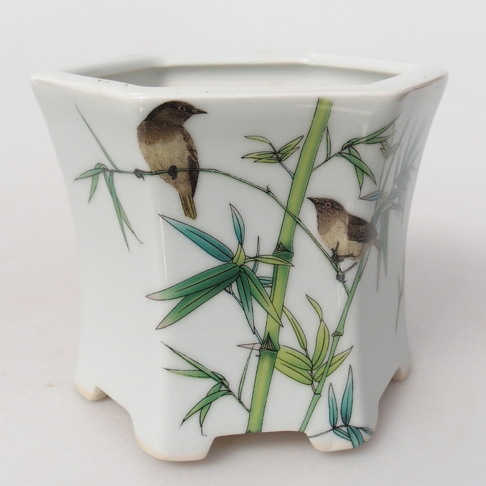 Bonsaischale aus Keramik 10,5 x 9,5 x 9 cm, Farbe weiß