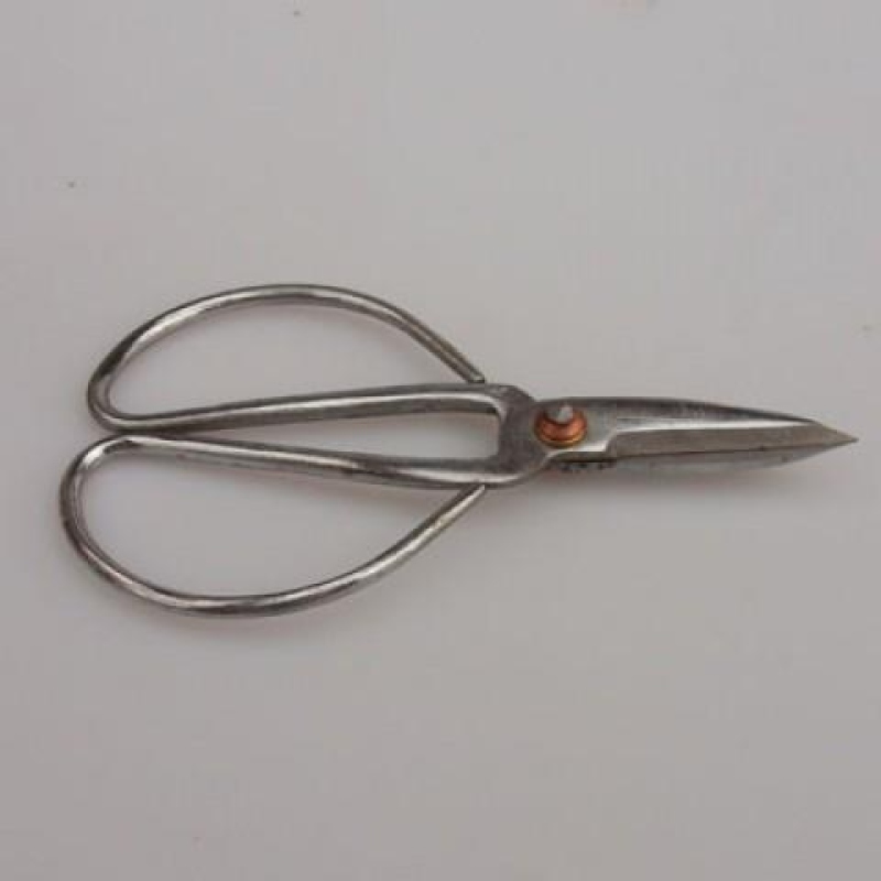 Chinesische Bonsaischere 120 mm