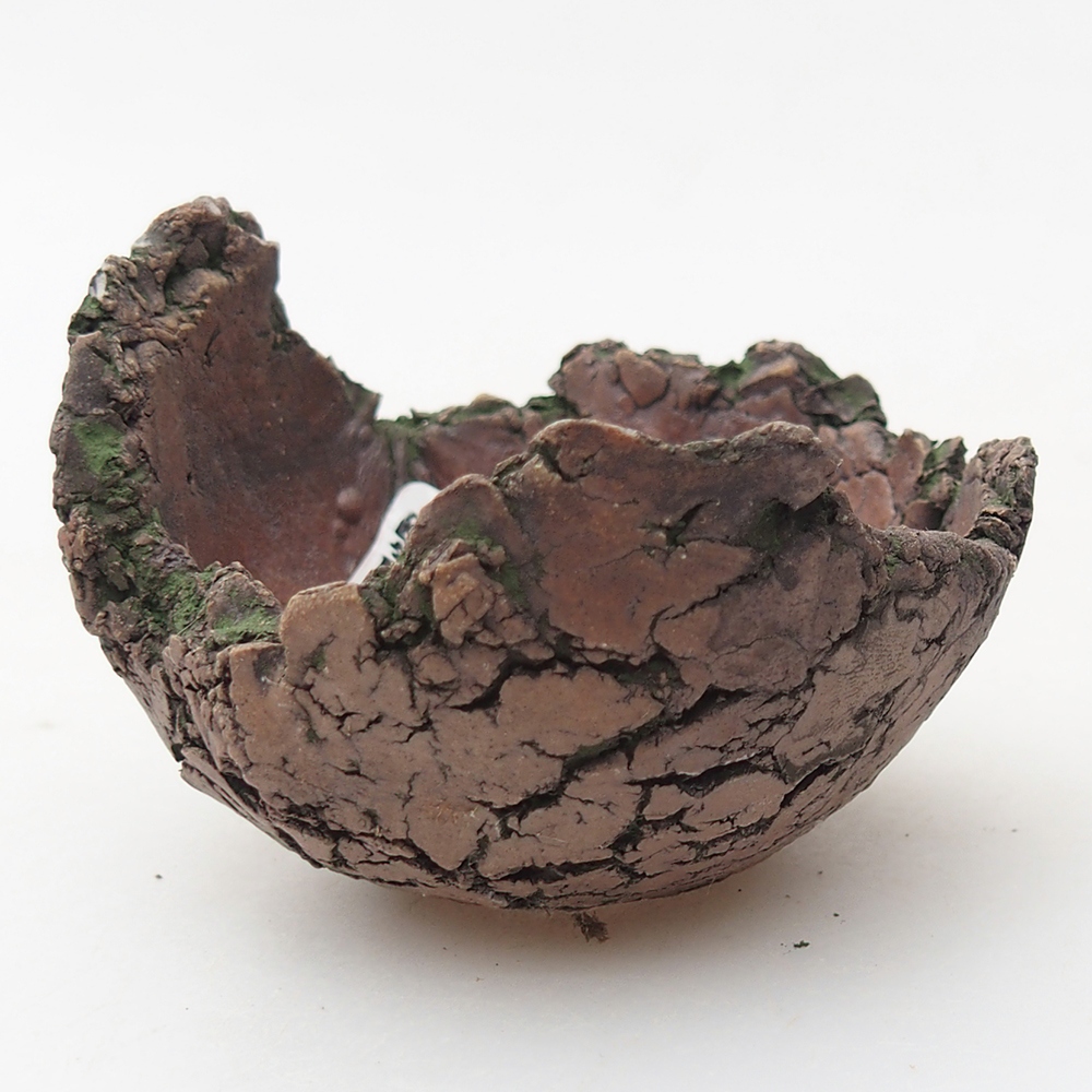 Keramische Muschel 7 x 6 x 5 cm , Farbe grün