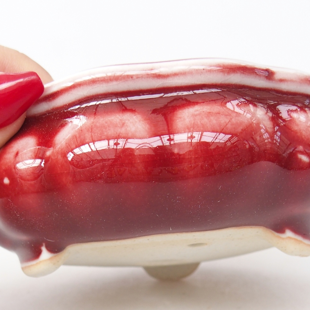 Bonsaischale aus Keramik 10 x 10 x 4 cm, Farbe rot