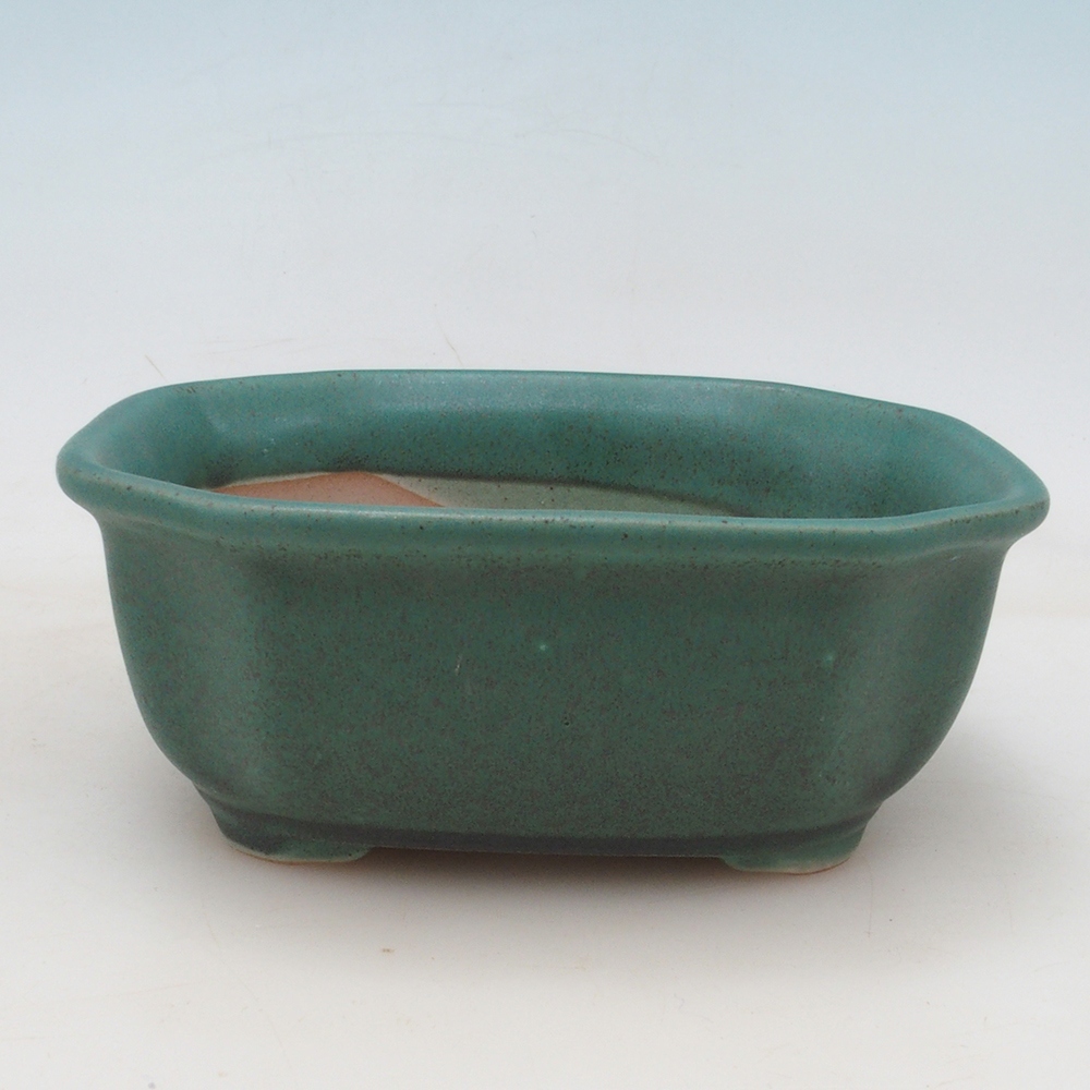 Bonsai-Schale + Untertasse H32 – Grün