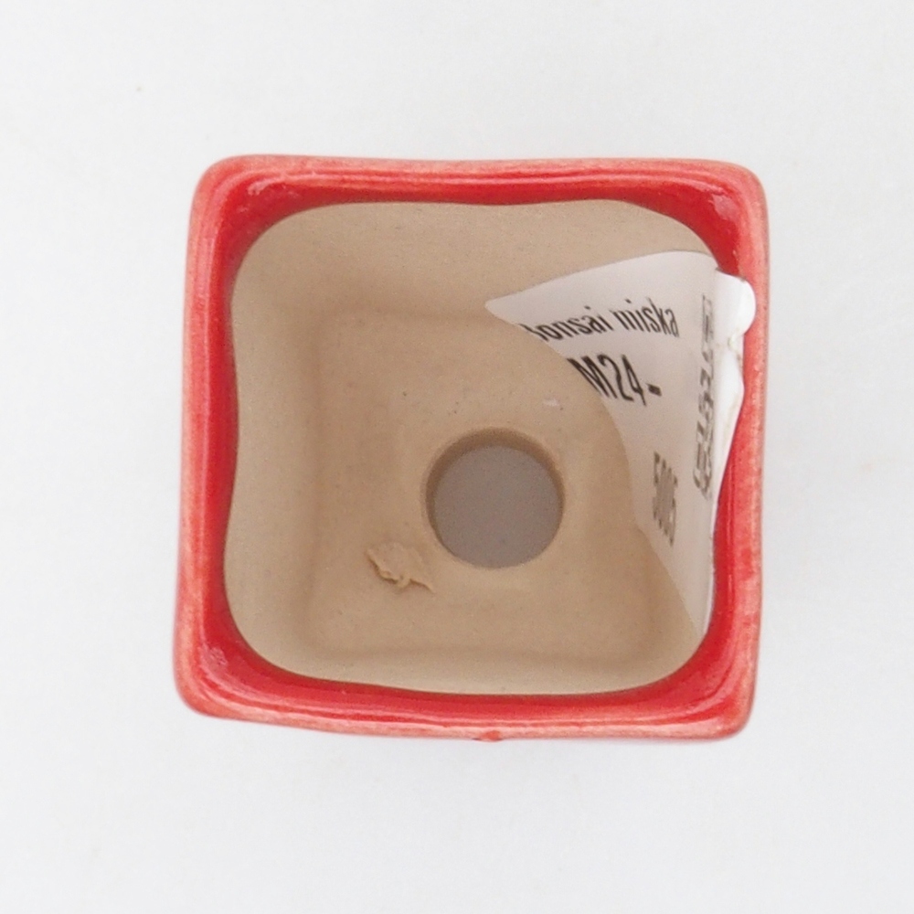 Mini-Bonsaischale  3 x 3 x 5,5 cm, Farbe rot