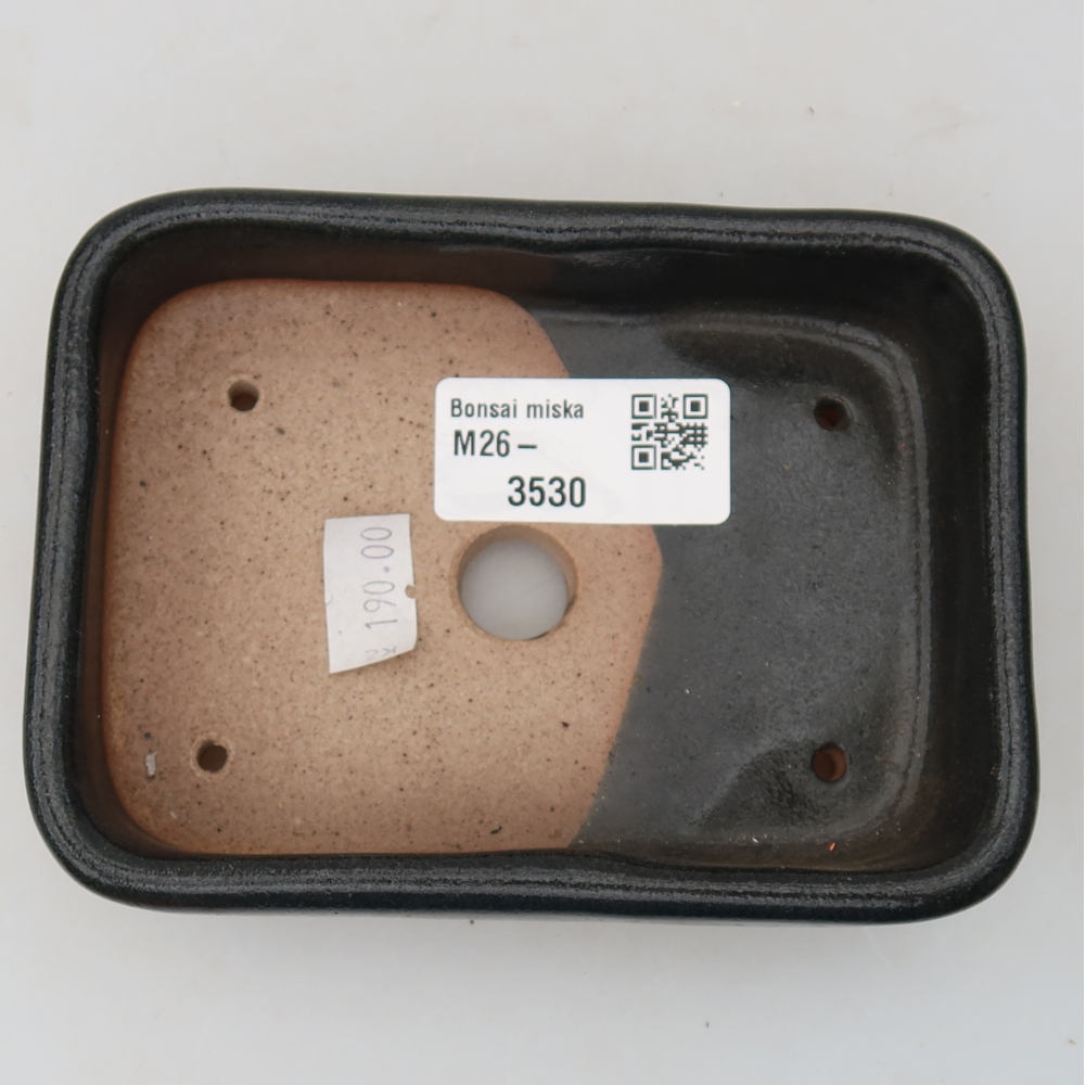 Keramik-Bonsai-Schale, 12,5 × 9 × 3,5 cm, Farbe: Schwarz