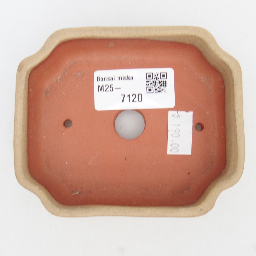 Bonsaischale aus Keramik 10 x 8,5 x 2,5 cm, Farbe beige