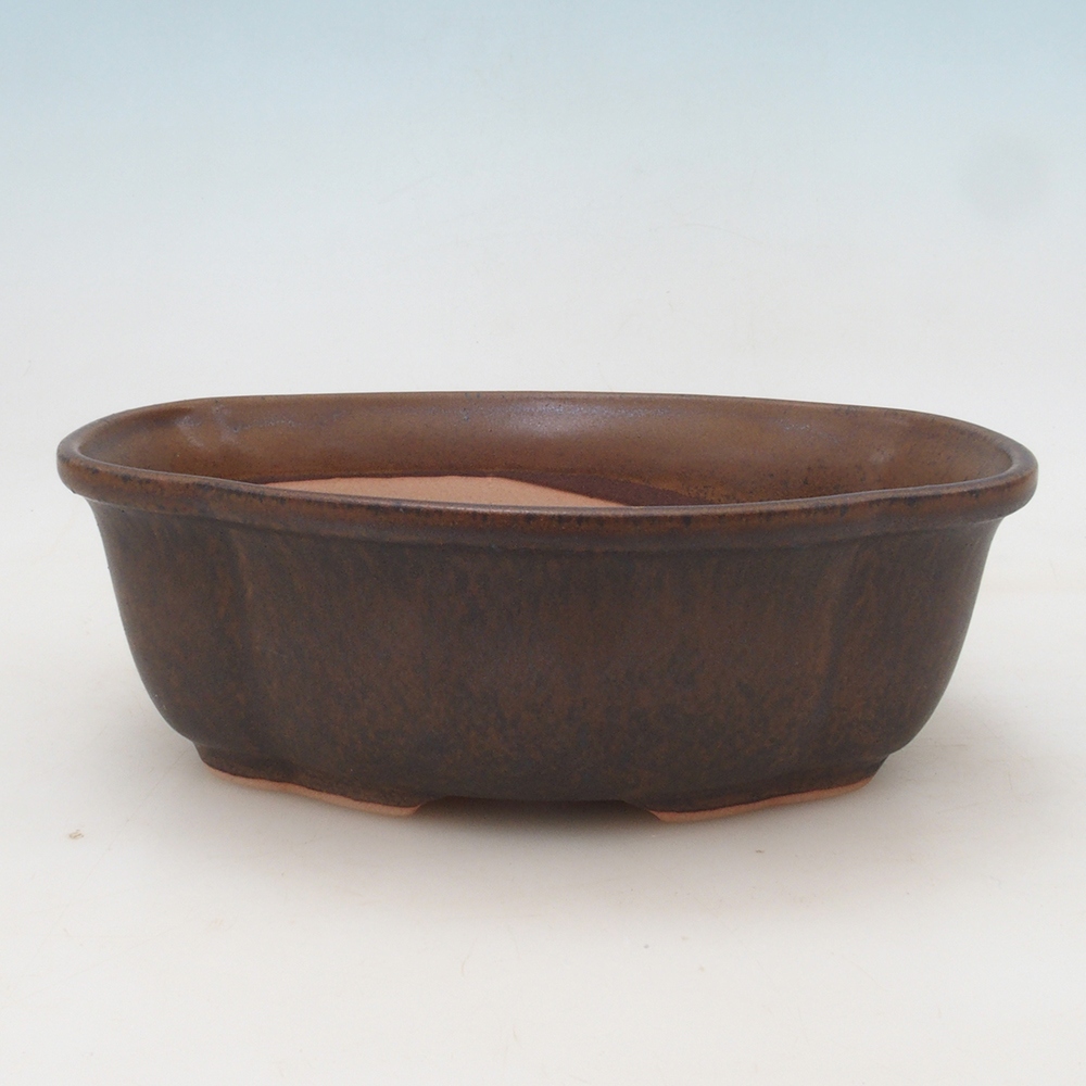 Bonsai-Schale + Untertasse H75 – Braun