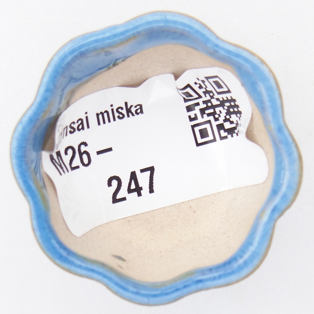 Mini-Bonsaischale 4 x 4 x 2 cm, blau