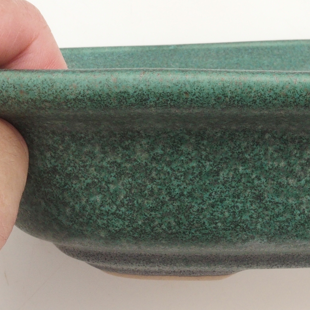 Bonsai-Schale H25 – 23 x 17 x 5,5 cm – grün