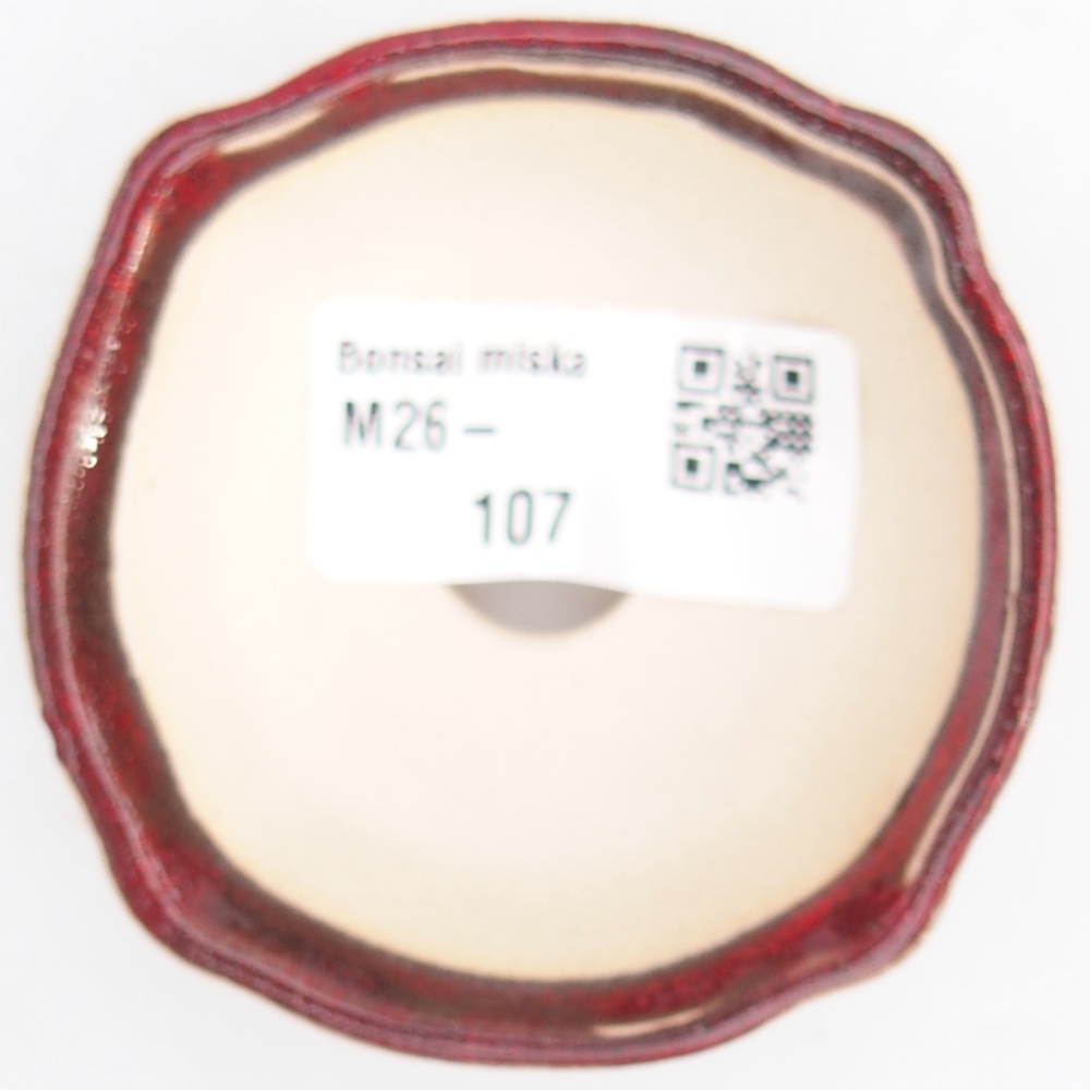 Mini-Bonsaischale 6,5 x 6,5 x 3 cm, Farbe rot