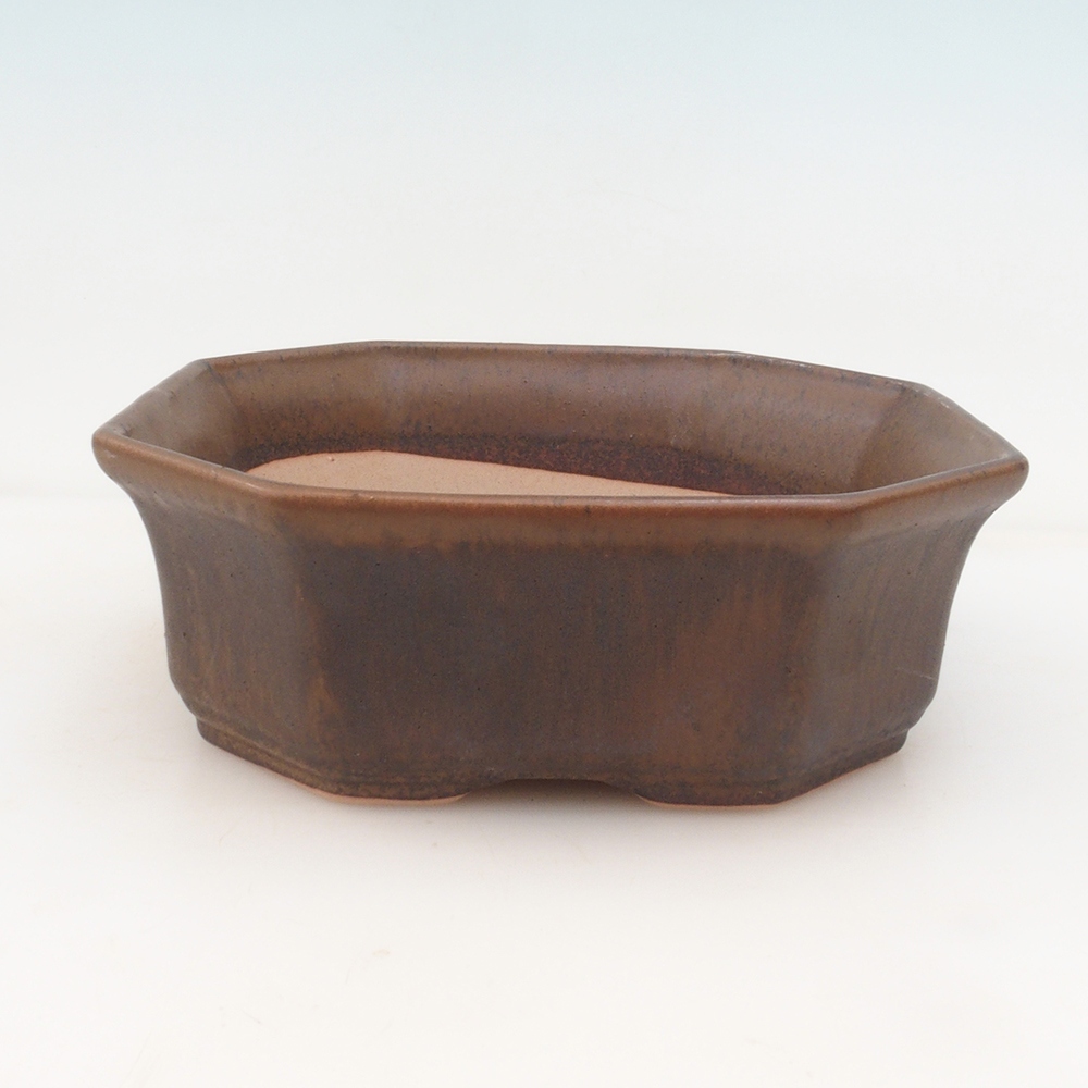 Bonsai-Schale + Schale H14 - braun