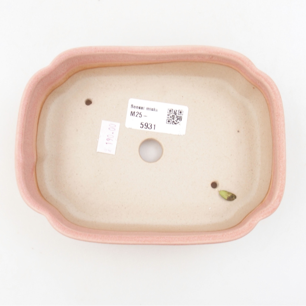 Keramik-Bonsaischale 16 x 12 x 4,5 cm, Farbe rosa