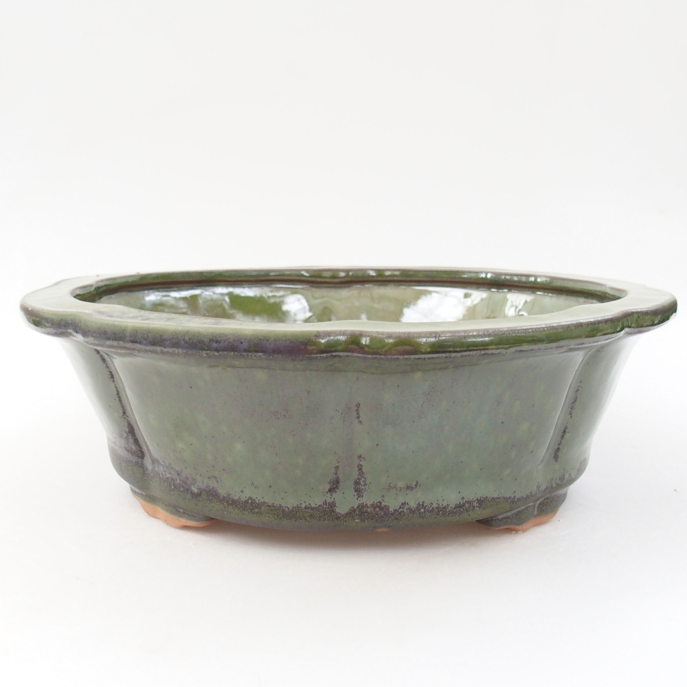 Keramik-Bonsaischale 26 x 26 x 8 cm, Farbe Grün