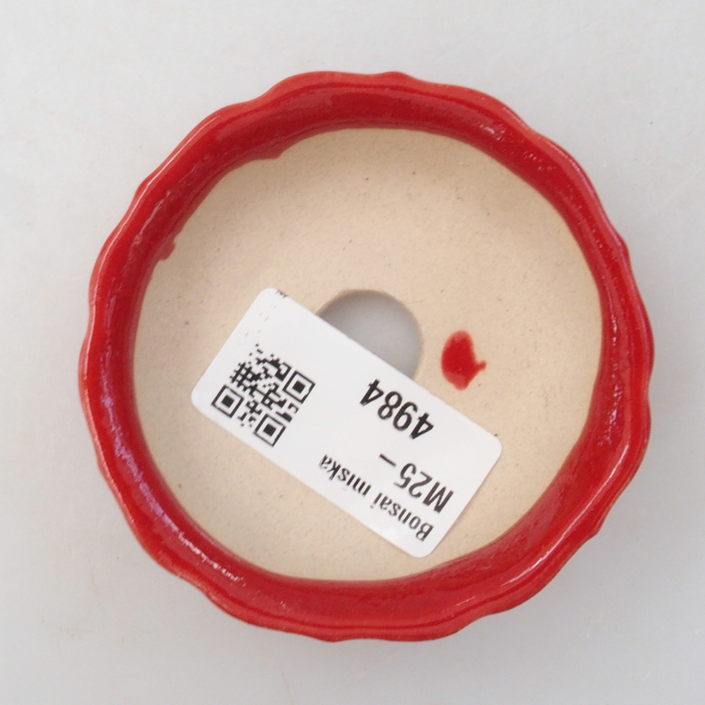 Mini-Bonsaischale 7 x 7 x 2 cm, Farbe rot