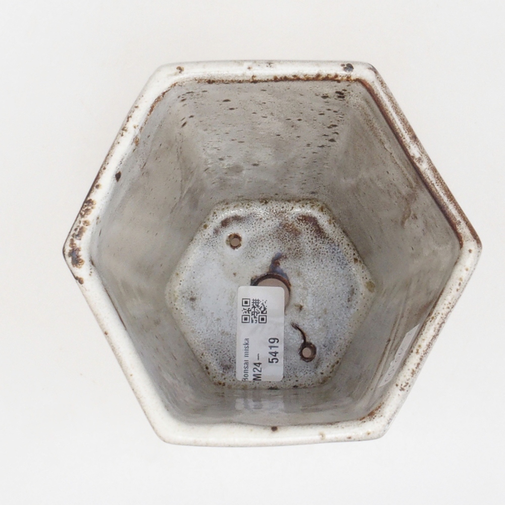 Keramik-Bonsaischale 12,5 x 11,5 x 16,5 cm, Farbe Weiß