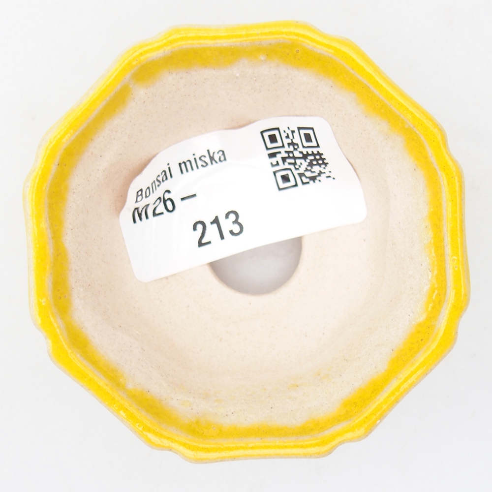 Mini-Bonsaischale 6 x 6 x 2,5 cm, gelb