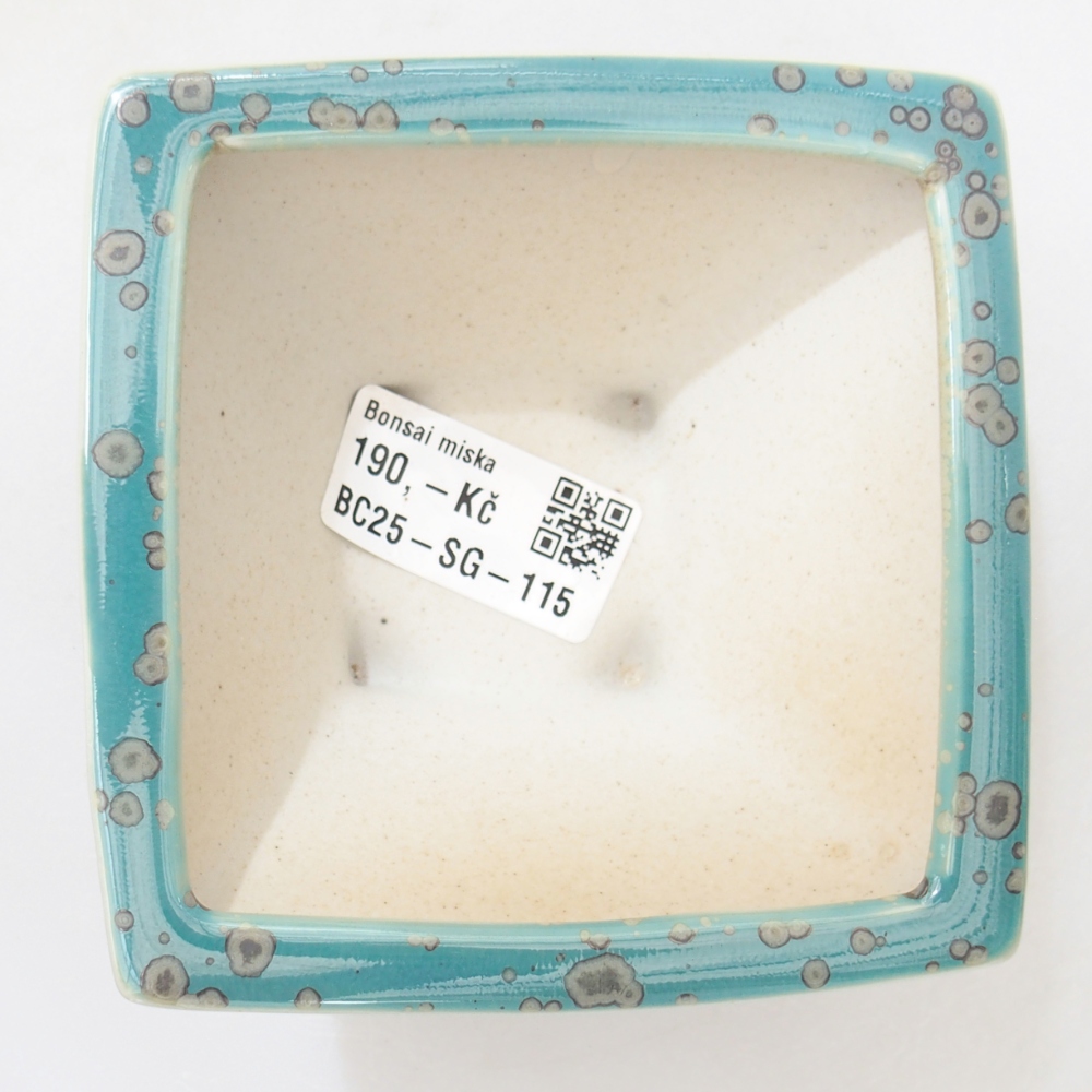 Schale 10,5 x 10,5 x 5,5 cm Farbe blau