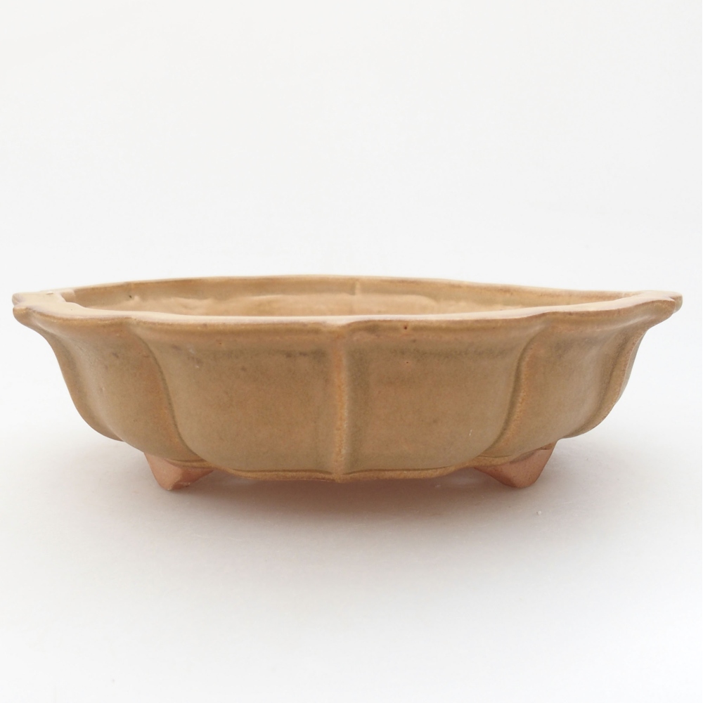 Keramik-Bonsaischale 18 x 18 x 5 cm, Farbe beige