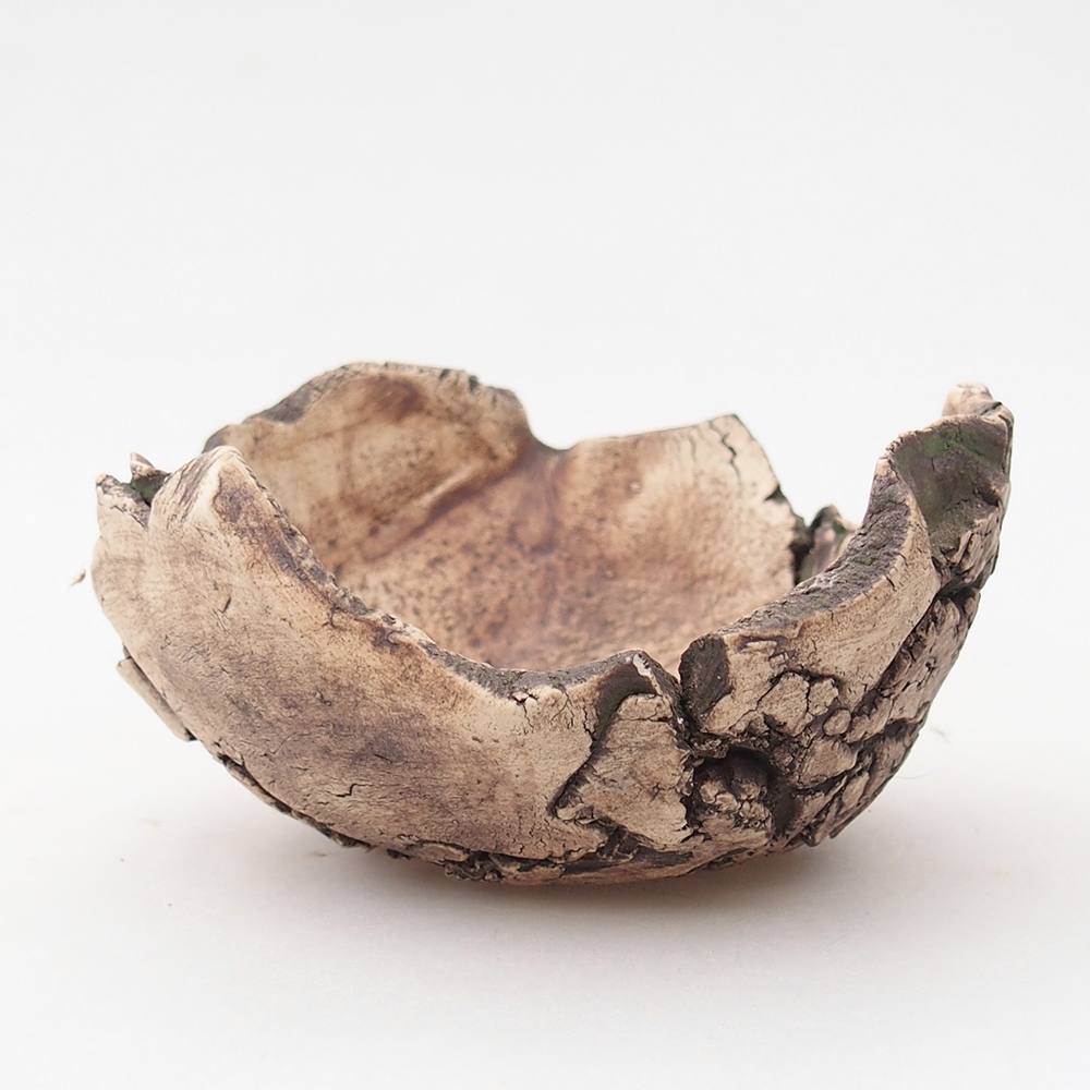Keramische Muschel 10 x 10 x 5,5 cm, Farbe grün
