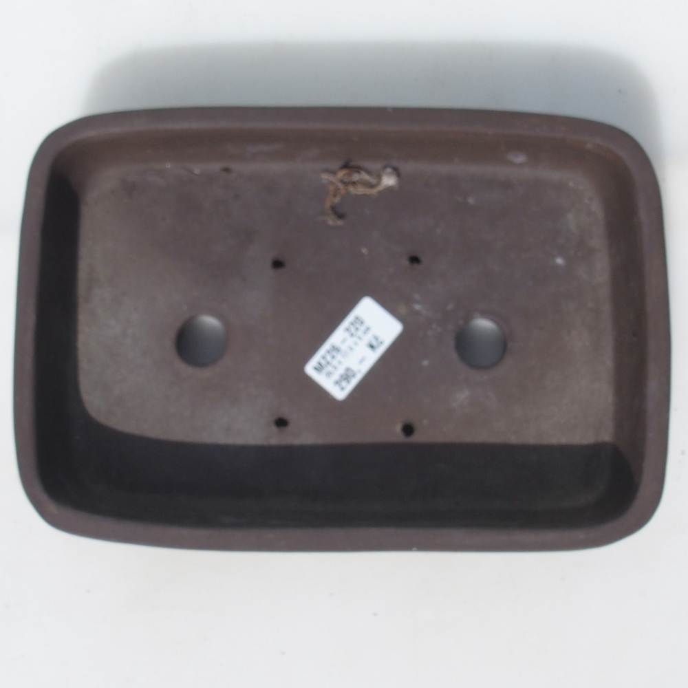 Bonsaischale 25,5 x 17,5 x 5 cm Birke braun