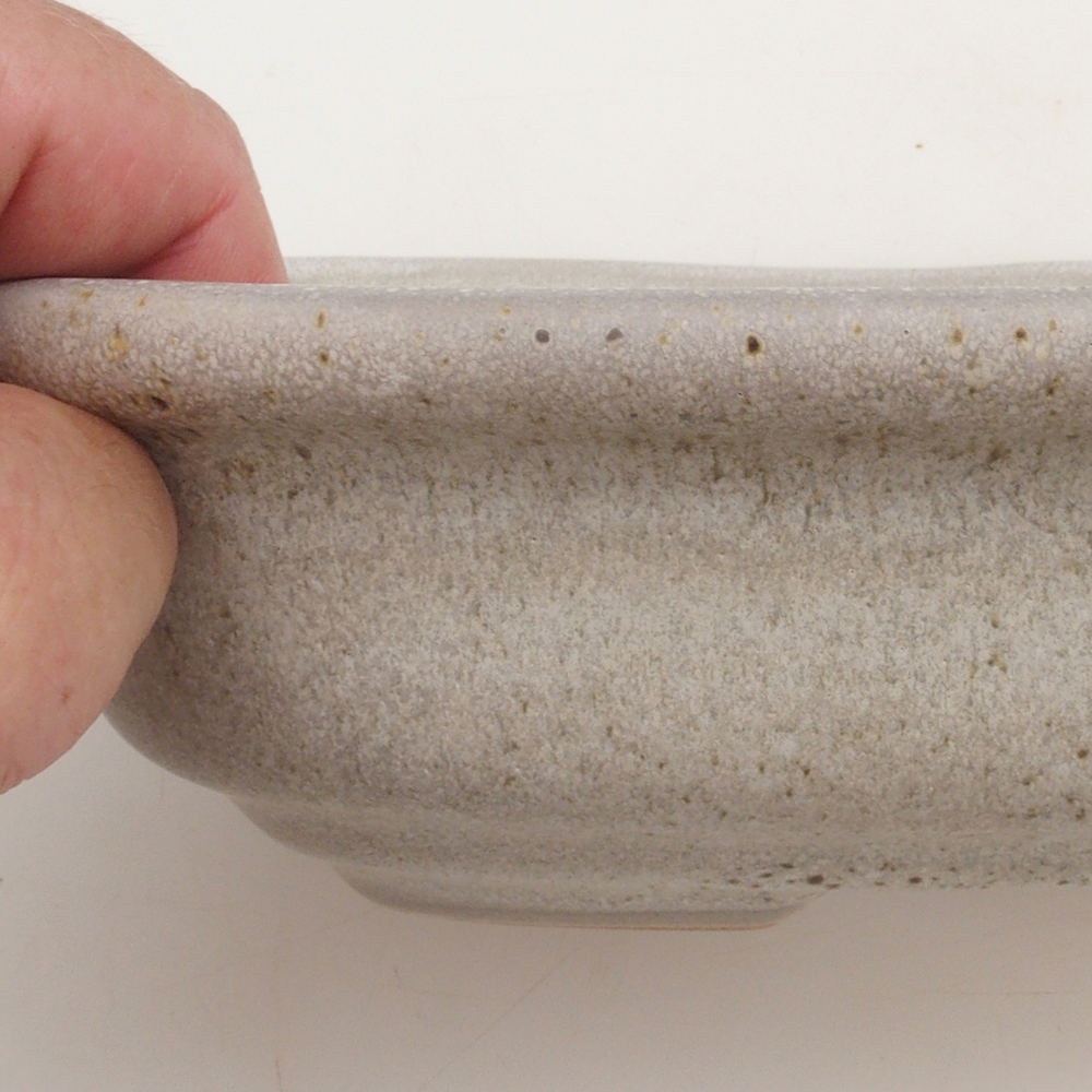 Bonsai-Schale H25 - 23 x 17 x 5,5 cm - beige