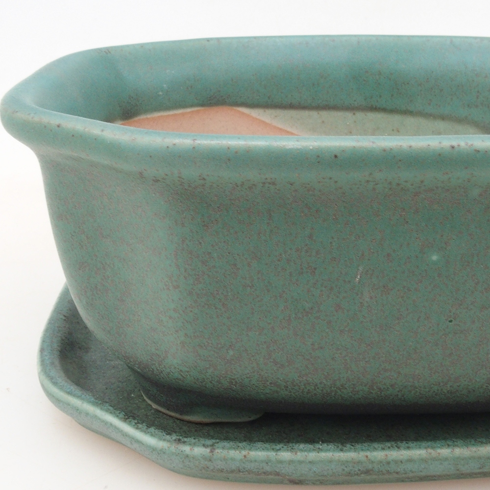 Bonsai-Schale + Untertasse H31 – Grün