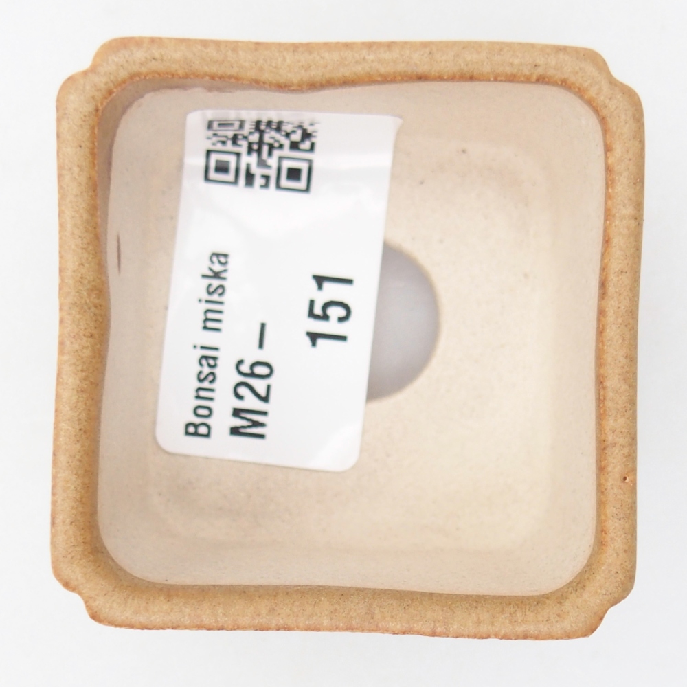 Mini-Bonsaischale 5 x 5 x 3 cm, braun
