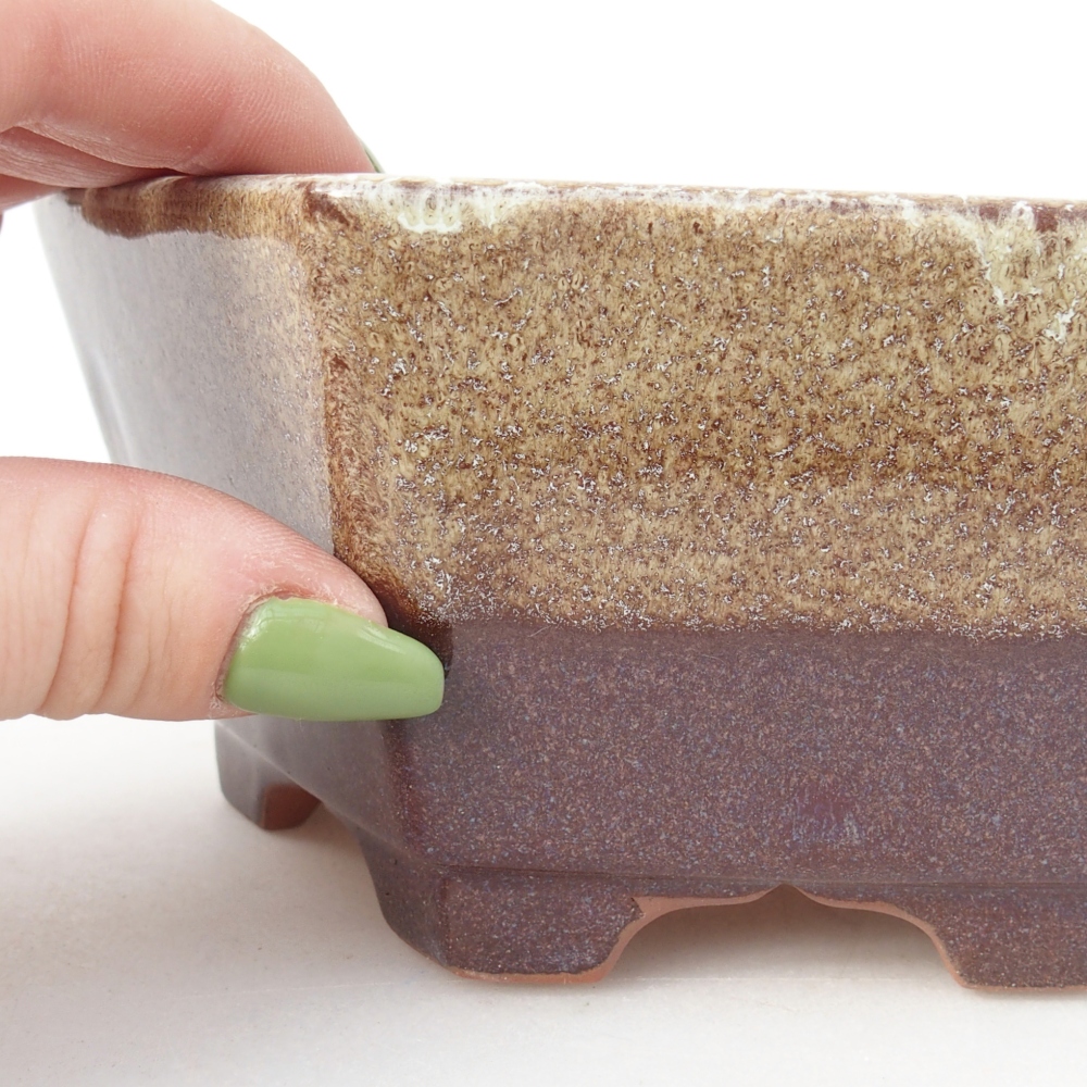 Schale 15,5 x 14 x 6,5 cm Farbe burgunderrotbraun