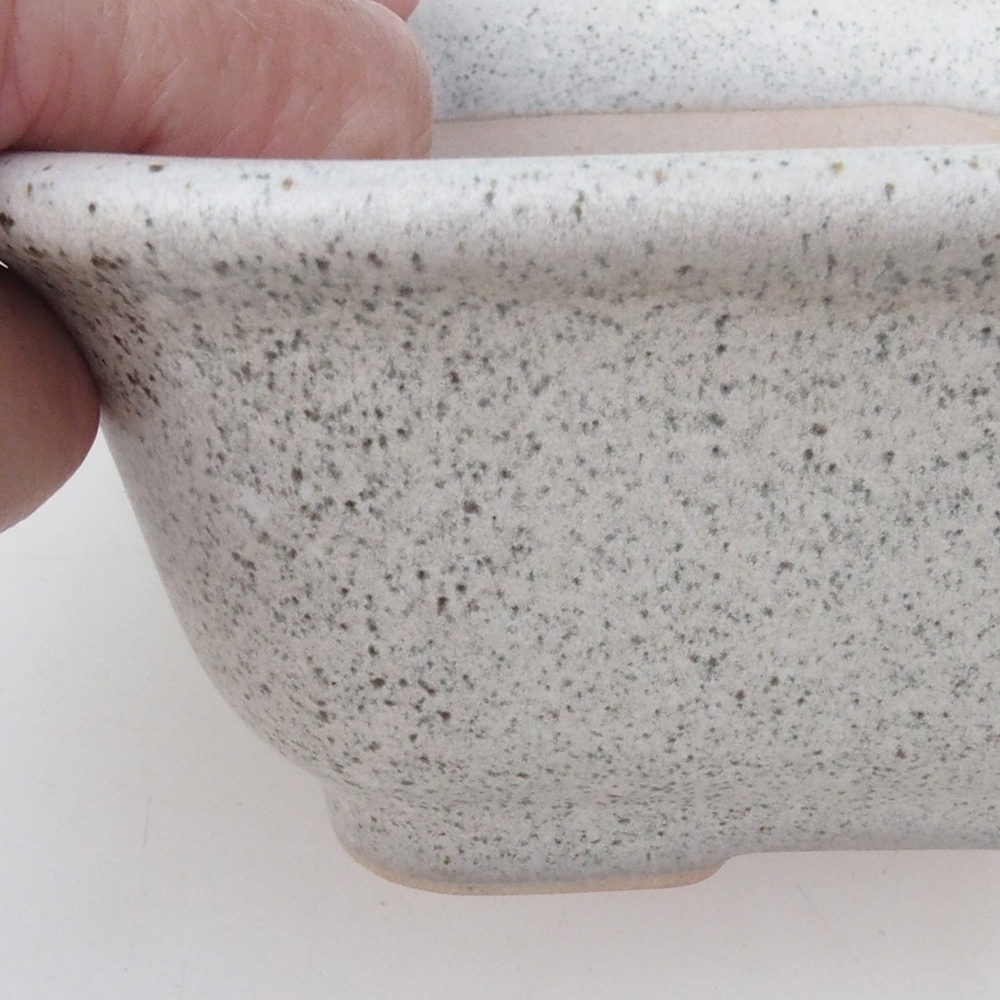 Bonsai-Schale H38 - 12 x 10 x 5,5 cm - beige