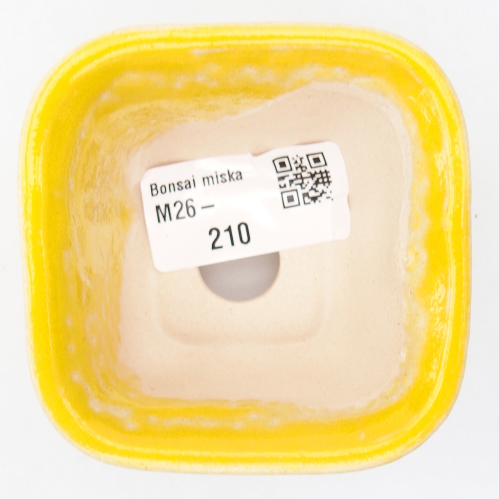 Mini-Bonsaischale 6,5 x 6,5 x 4,5 cm, gelb