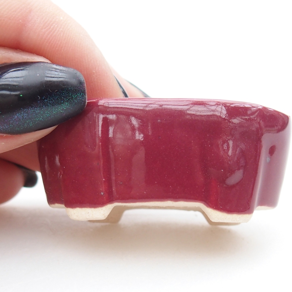 Mini-Bonsaischale 4,5 x 2,5 x 2 cm, Farbe bordeauxrot