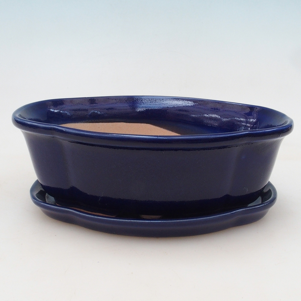 Bonsai-Schale + Untertasse H75 – Blau