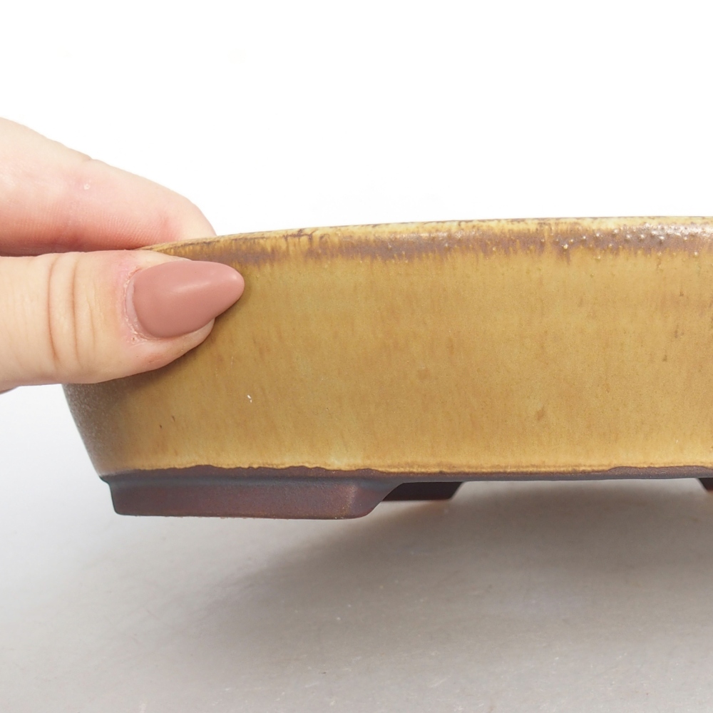 Bonsaischale aus Keramik 22,5 x 20 x 4,5 cm, grün