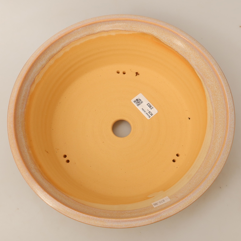 Keramik-Bonsai-Schale 29 x 29 x 8,5 cm, Farbe: Beige