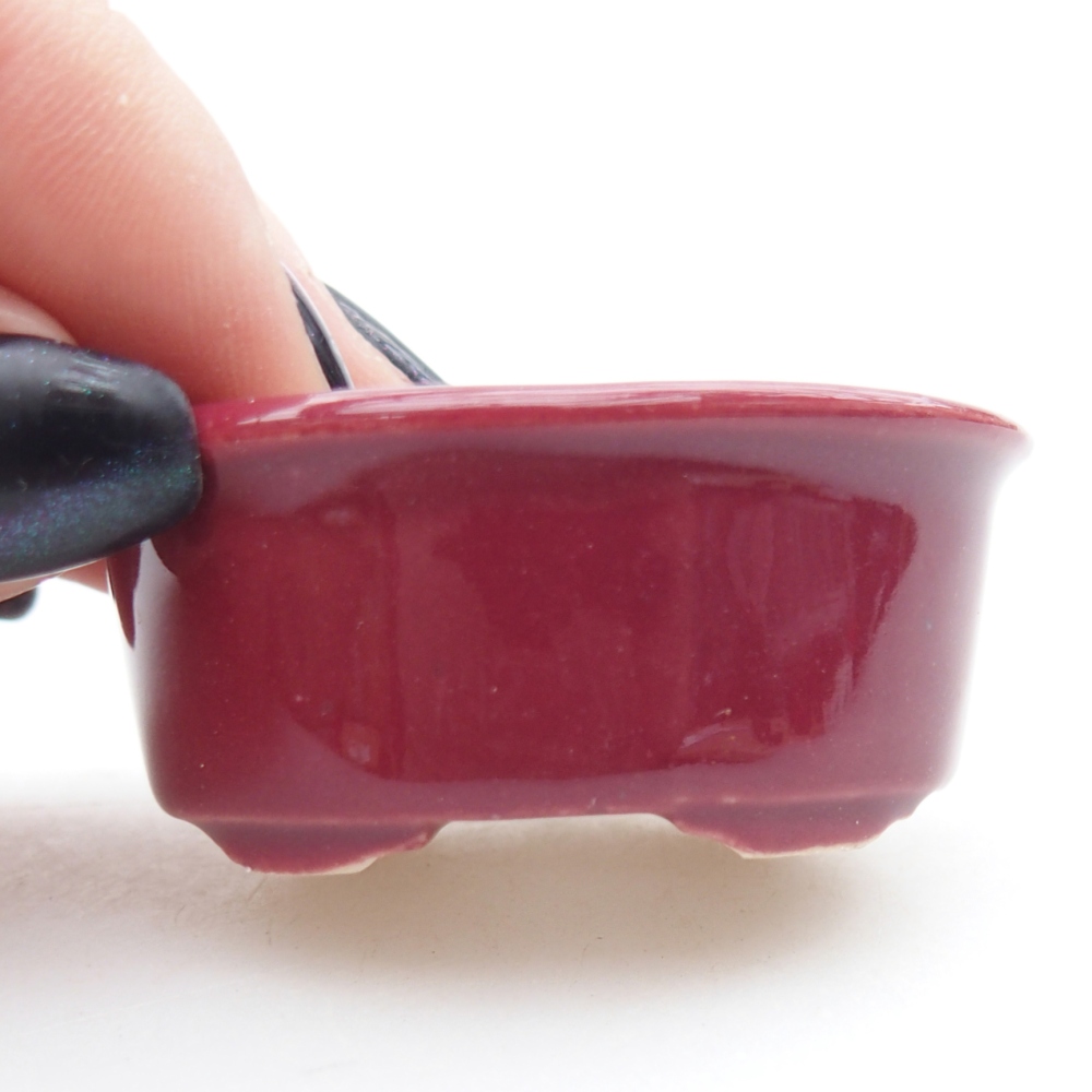 Mini-Bonsaischale 4,5 x 4 x 2 cm, bordeauxrot