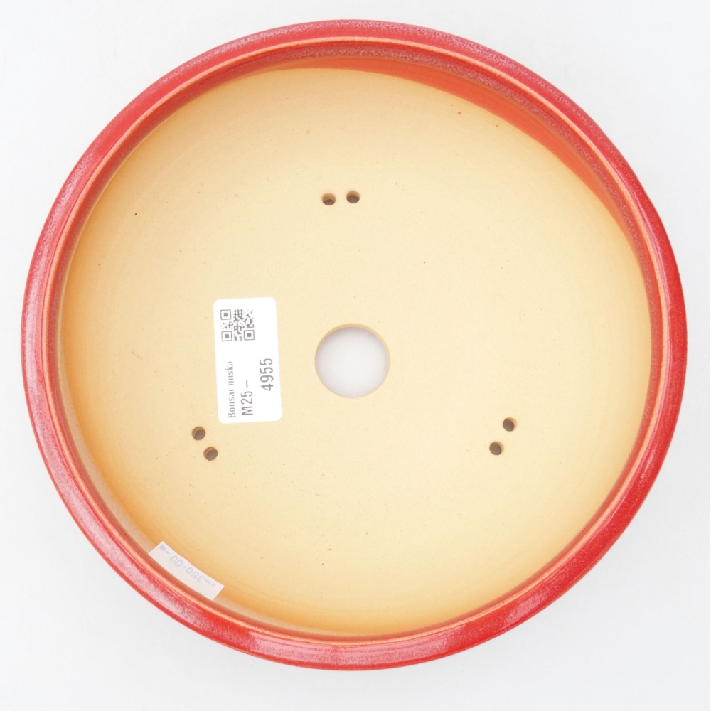 Keramik-Bonsaischale 19 x 19 x 5,5 cm, Farbe Rot