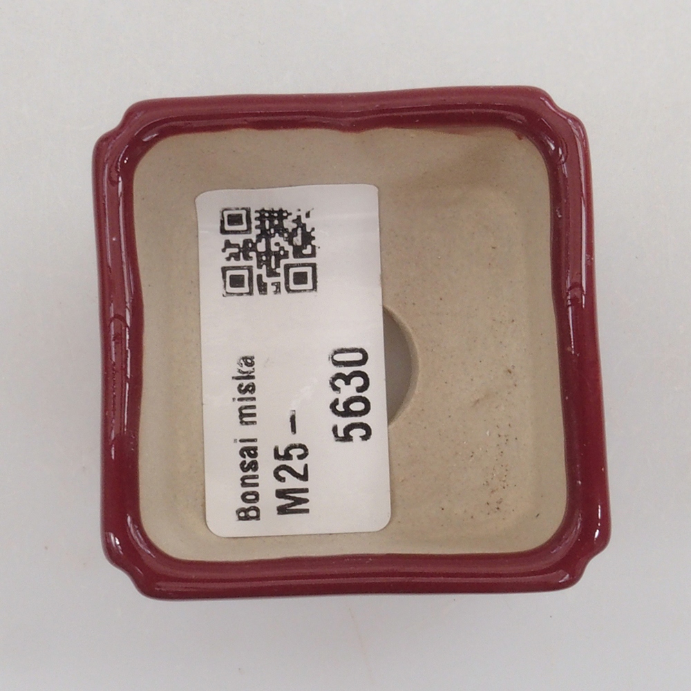 Mini-Bonsaischale 4,5 x 4,5 x 3 cm, Farbe Burgunder